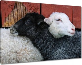 Vászonkép 100x70 Szerelem Érzés Párkapcsolat