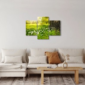 Tisztás és a virágok képe (90x60 cm)