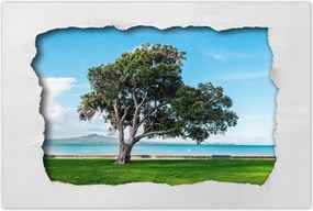 Poszterek 120x80 Magányos fa