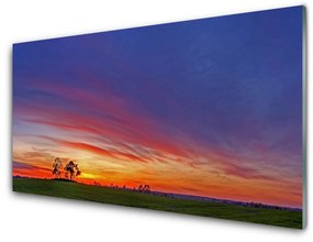 Üvegfotó Természet Tájkép fák Field 100x50 cm 2 fogas