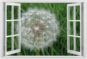 Poszterek 120x80 Pitypang Virág Virágok