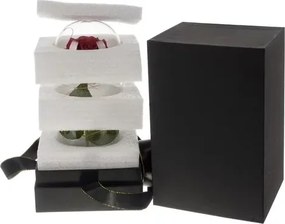 Világító örökrózsa luxuscsomagolásban