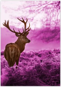 Poszterek 70x100 Szarvas a lila erdőben