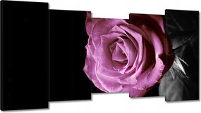 Vászonkép 150x80 Lila rózsa