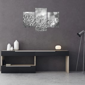 Kép - Bézs színű puha fű N⁰1 (90x60 cm)