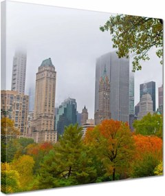 Vászonkép 30x30 Central Park New York Usa