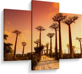 Kép - Naplemente a Baobab Alley-ben (90x60 cm)