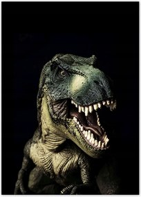 Poszter 50x70 Tyrannosaurus-t-rex fekete