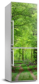 Hűtő matrica Zöld erdő FridgeStick-70x190-f-104709227