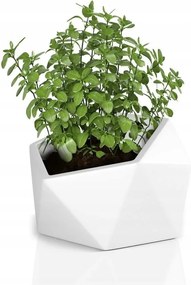 Vesari virágcserép fehér