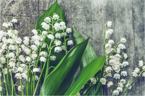 A gyöngyvirág képe (90x60 cm)
