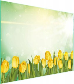 Üveg Vágódeszka 52x40 Tulipán Edzett Üveg