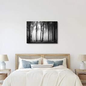 Üveg kép - Farkas a sötét erdőben (70x50 cm)