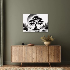 Kép – Fekete-fehér bonsai (70x50 cm)