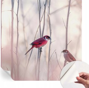 Öntapadós Dekoratív Fotótapéta Hálószobába Madárpár 250x250 cm