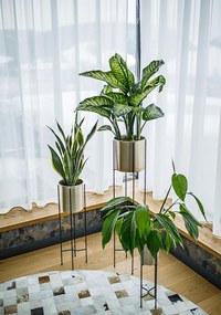 Virágtartó, fekete/arany, JUDE TYP 2