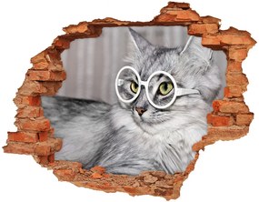 3d fali matrica lyuk a falban Cat szemüveg nd-c-115959381