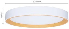 Brilagi - LARIOS LED dimmelhető mennyezeti lámpatest LED/72W/230V fehér Ø 59 cm + távirányító
