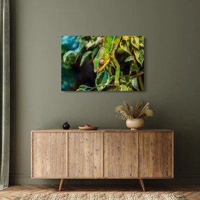 Kaméleon képe (90x60 cm)