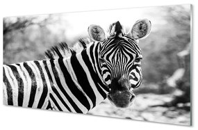 Üvegképek retro zebra 120x60cm