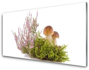 Akrilkép Növény Gomba Természet 100x50 cm
