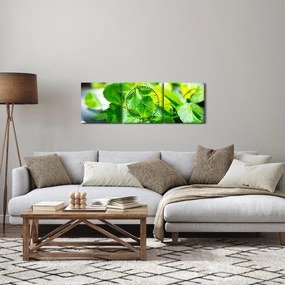A menta képe (órával) (90x30 cm)
