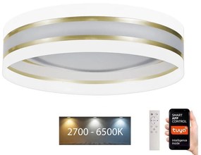 Belis LED Dimmelhető mennyezeti lámpa SMART CORAL LED/24W/230V Wi-Fi Tuya fehér + távirányító BE0875