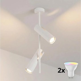 Brilagi - LED RGBW dimmelhető rúdon függesztett csillár BRANCH 2xGU10/6,5W/230V fehér