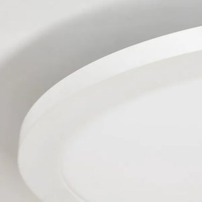 Brilliant - LED RGBW Dimmelhető mennyezeti lámpa ABIE LED/24W/230V + távirányító