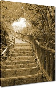 Vászonkép 60x80 Lépcsők szépia színben