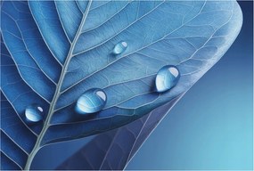 Fotótapéta Flizelina Nappaliba és Hálószobába Kék levél 104x70 Ragasztó