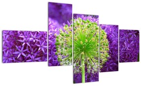 Modern kép - virágok  (150x85cm)