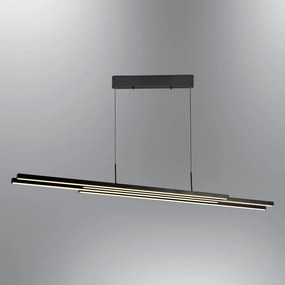 L1251 - Black