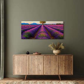 Kép - Levendula mező (120x50 cm)