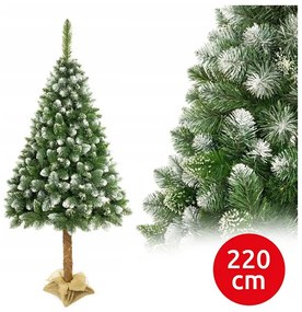 Karácsonyfa törzsön 220 cm fenyő
