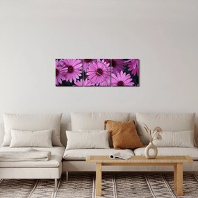 Rózsaszín virágok képe (órával) (90x30 cm)