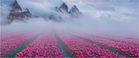 Kép - Tájkép tulipánmezőkkel (120x50 cm)