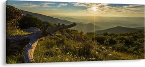Kép - kilátás a tájra (120x50 cm)