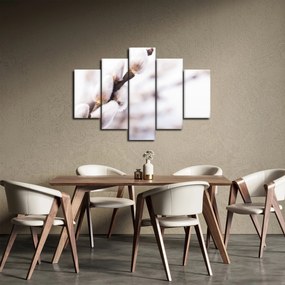 Kép - Macska (150x105 cm)
