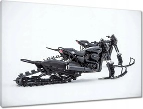 Vászonkép 90x60 Harley Davidson Motorkerékpár