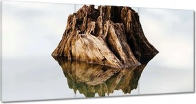 Vászonkép 120x60 Sziget a tavon