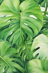 Poszter 40x60cm A levelek titkai