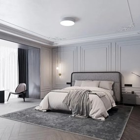 LED mennyezeti lámpa CLEO LED/24W/230V 4000K, 30 cm átm., szürke