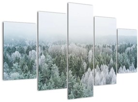 Kép - Havas erdőcsúcsok (150x105 cm)