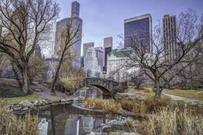 Poszter 45x30cm Központi park Manhattan panorámával 2, Assaf Frank