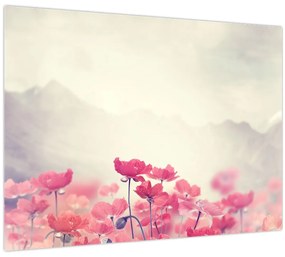 Kép - Pipacsok (70x50 cm)