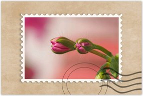 Poszterek 90x60 Finom fánkok Virágok