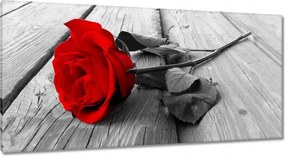 Vászonkép 115x55 Vörös rózsa a fán