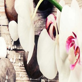 Gario Paraván Diszkrét orchidea bájjal Méret: 145 x 170 cm, Kivitelezés: Klasszikus paraván