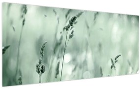 Kép - Zöld rét (120x50 cm)